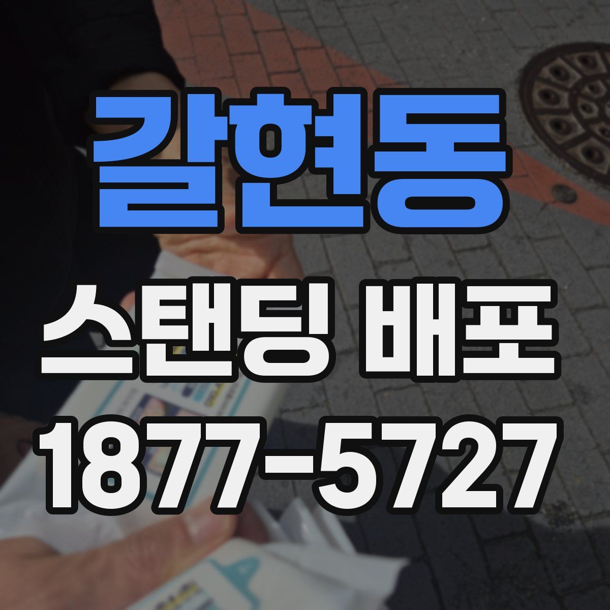 갈현동 스탠딩 배포