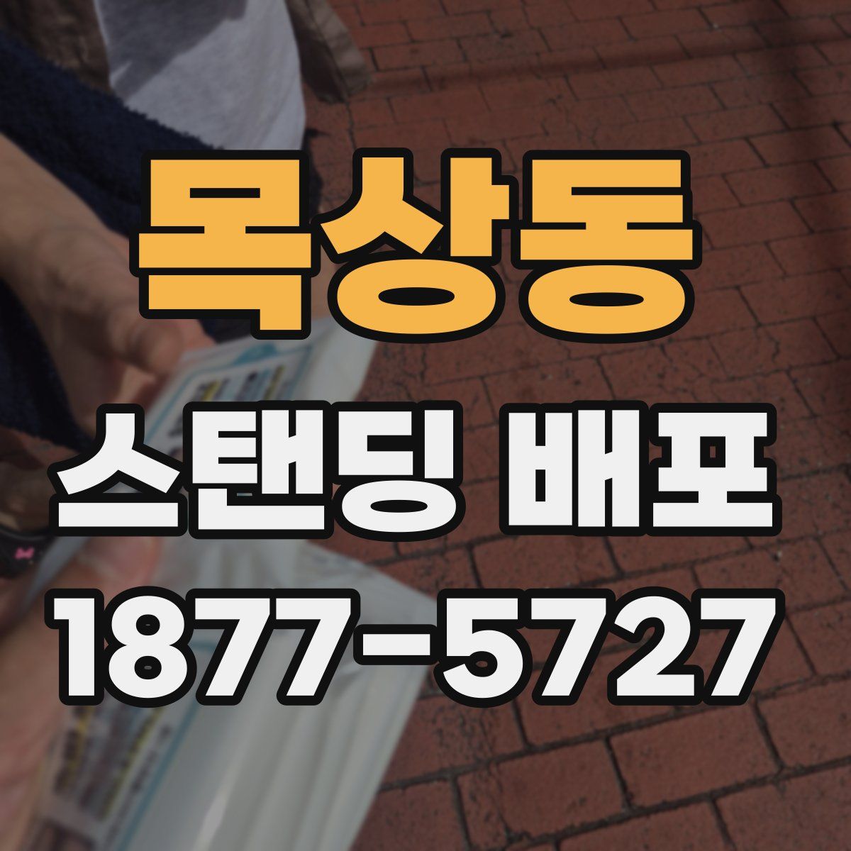 목상동 스탠딩 배포