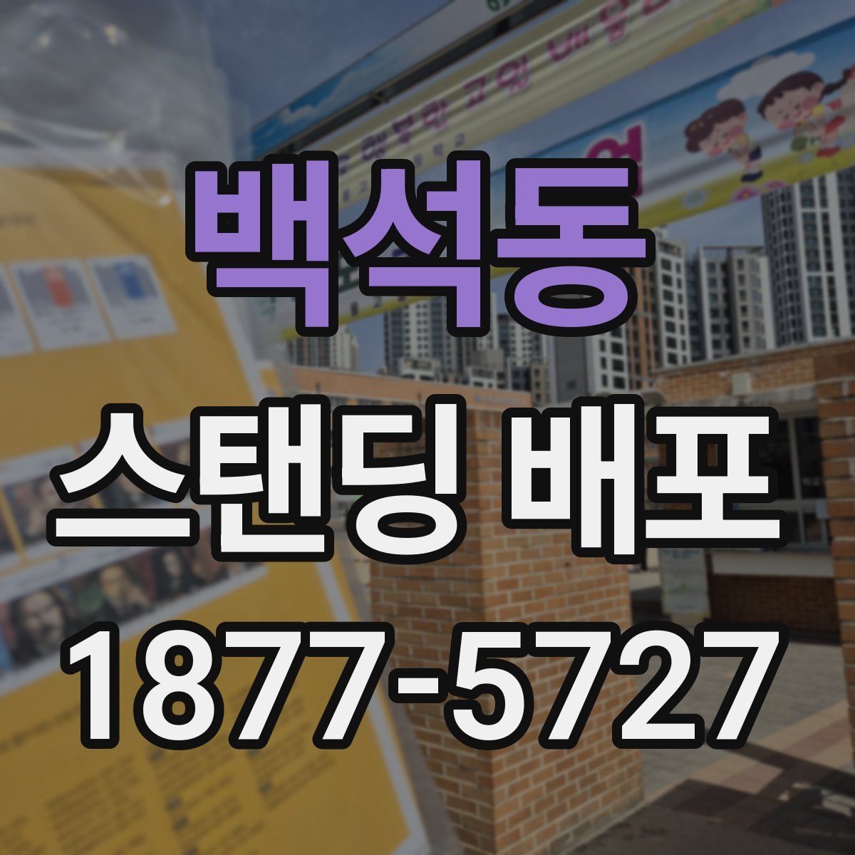 백석동 스탠딩 배포