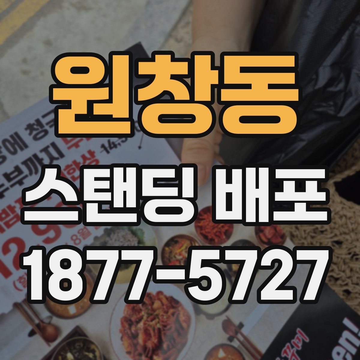 원창동 스탠딩 배포