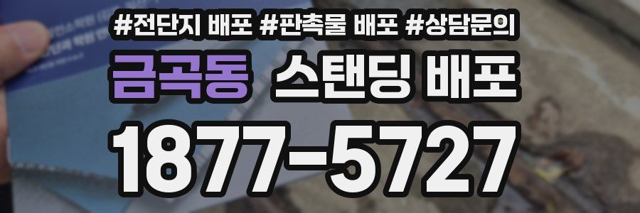 금곡동 스탠딩 배포