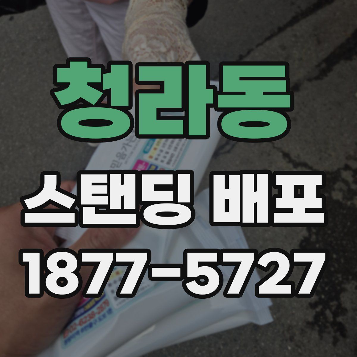 청라동 스탠딩 배포