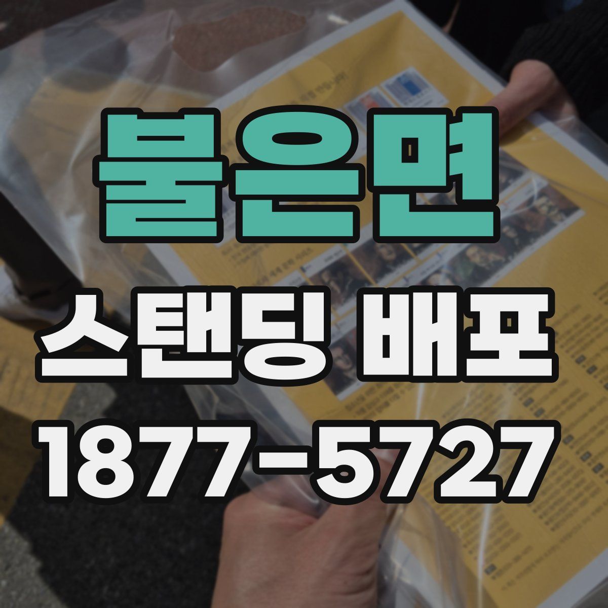 불은면 스탠딩 배포