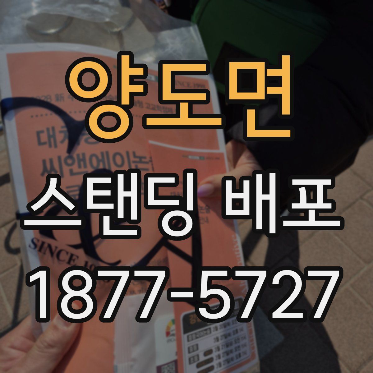 양도면 스탠딩 배포