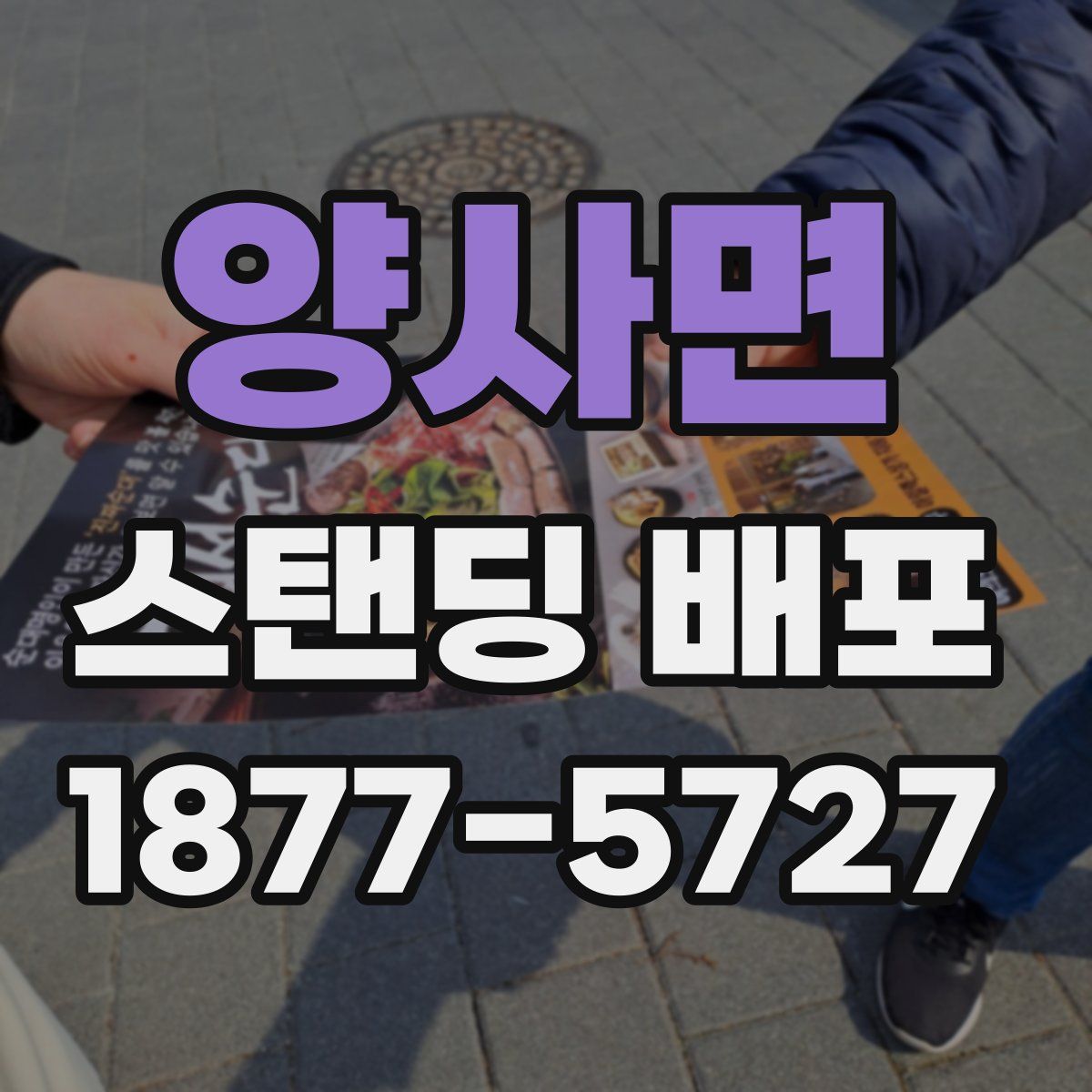 양사면 스탠딩 배포