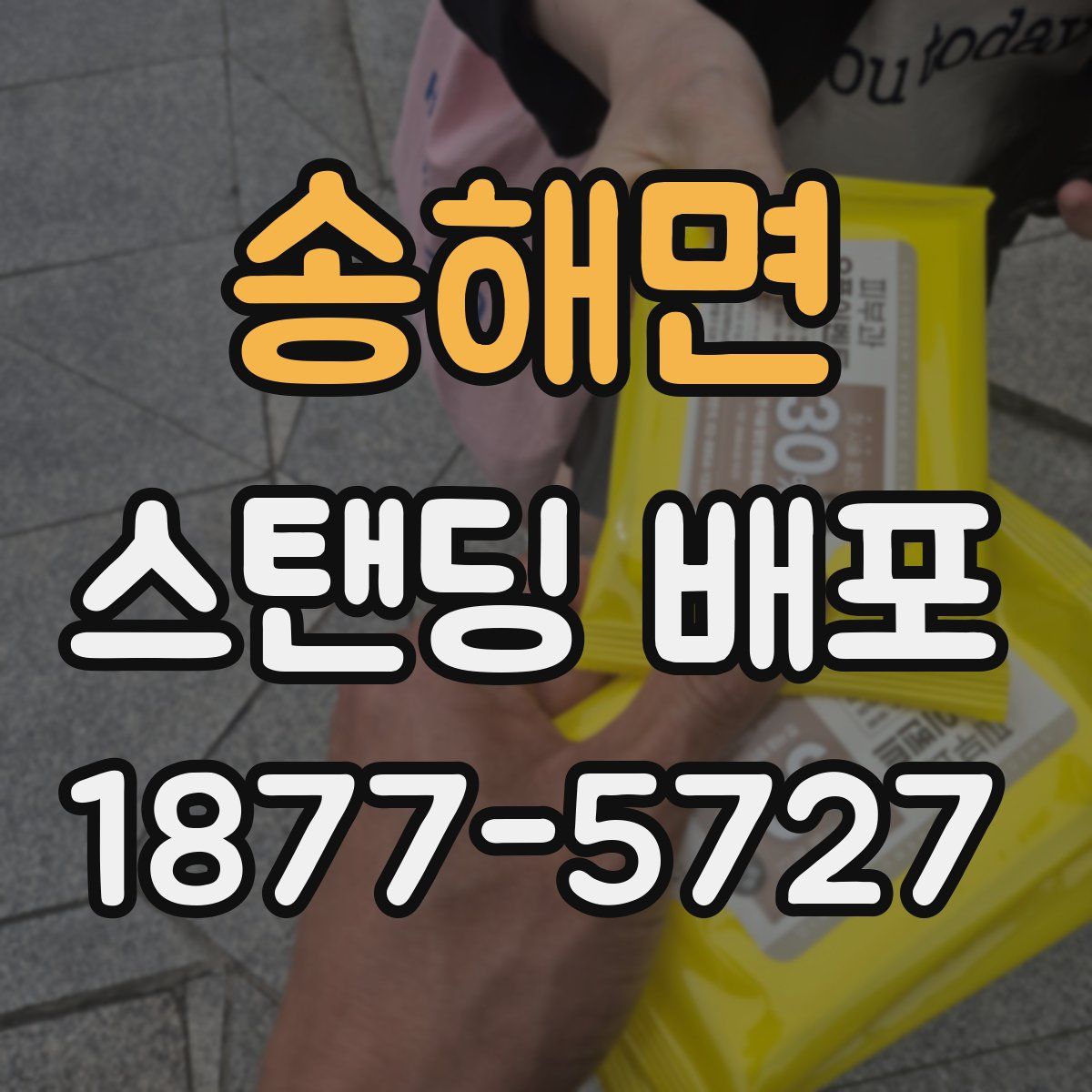송해면 스탠딩 배포