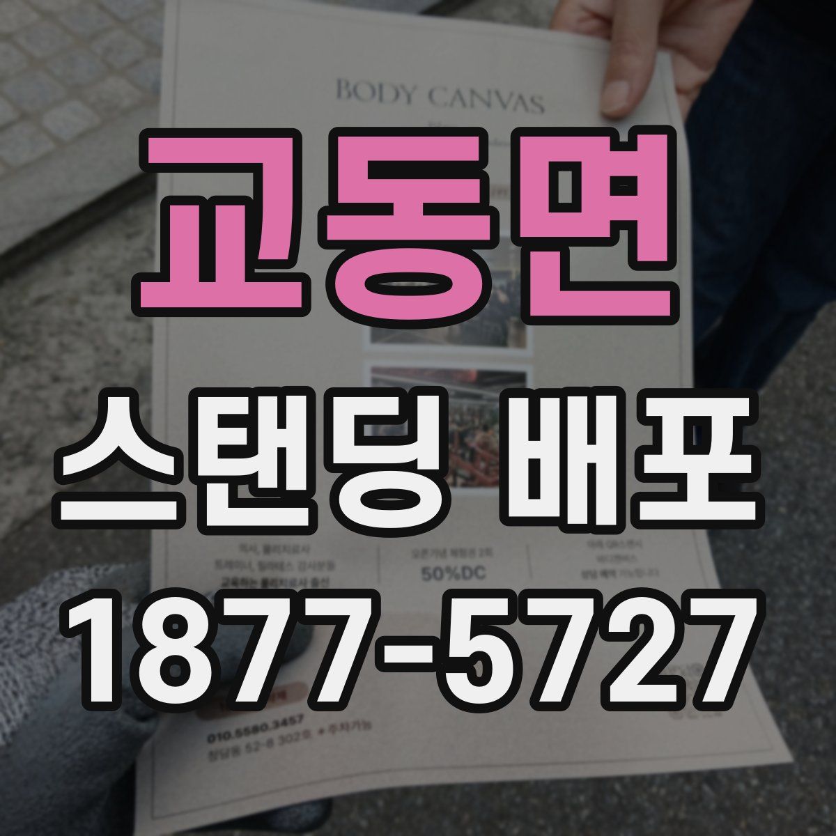 교동면 스탠딩 배포