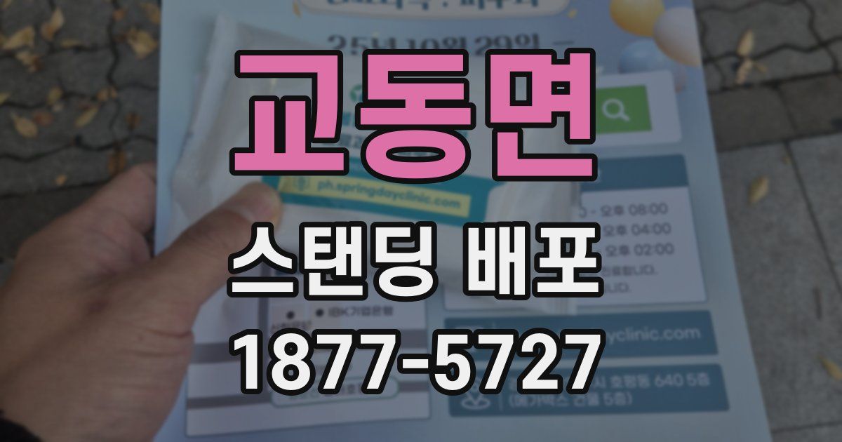 교동면 스탠딩 배포