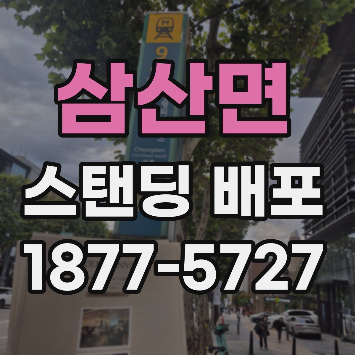 삼산면 스탠딩 배포