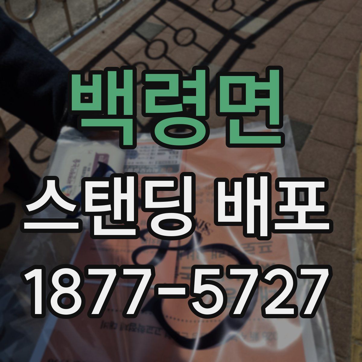 백령면 스탠딩 배포