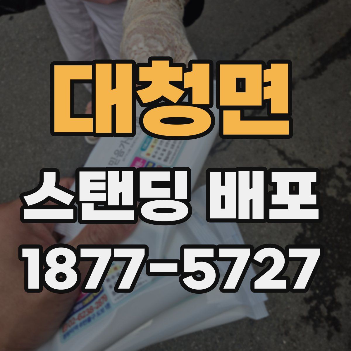 대청면 스탠딩 배포