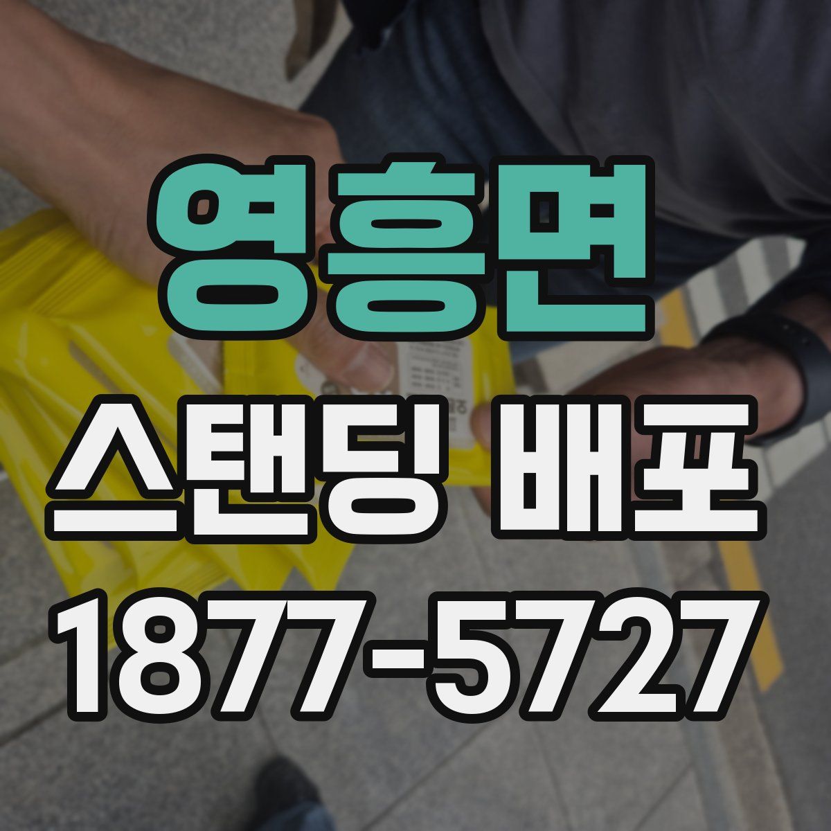영흥면 스탠딩 배포