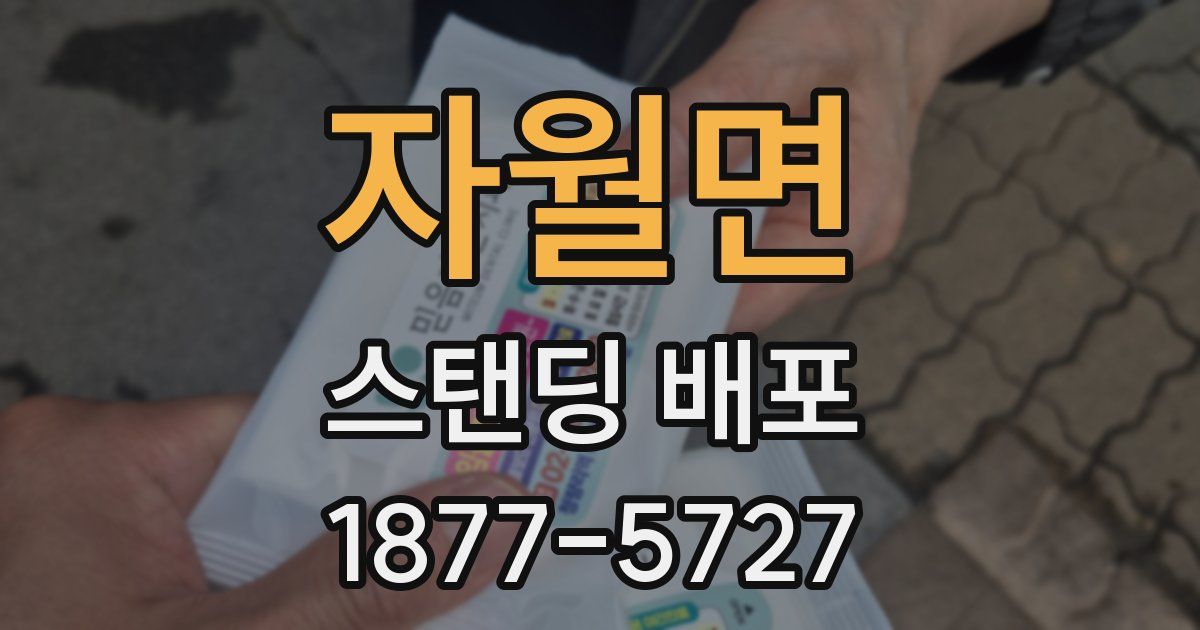 자월면 스탠딩 배포