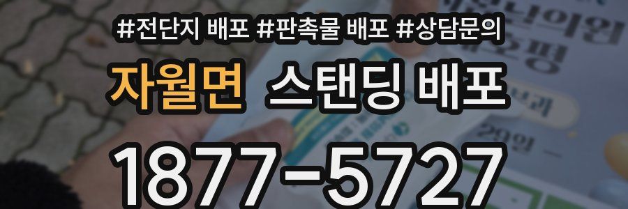 자월면 스탠딩 배포