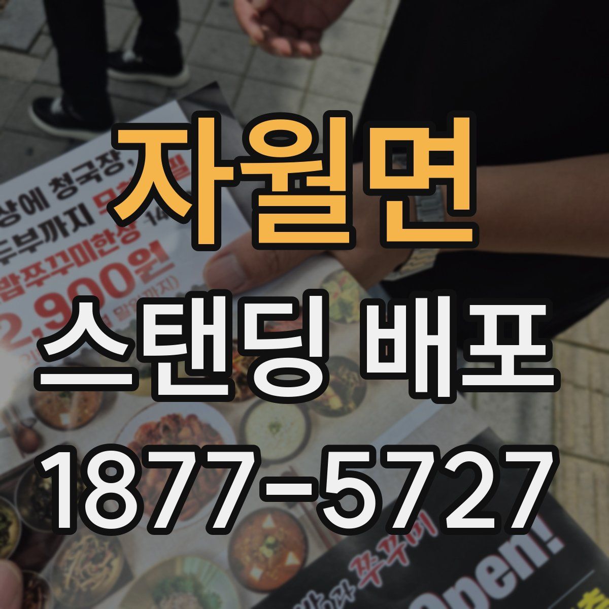 자월면 스탠딩 배포