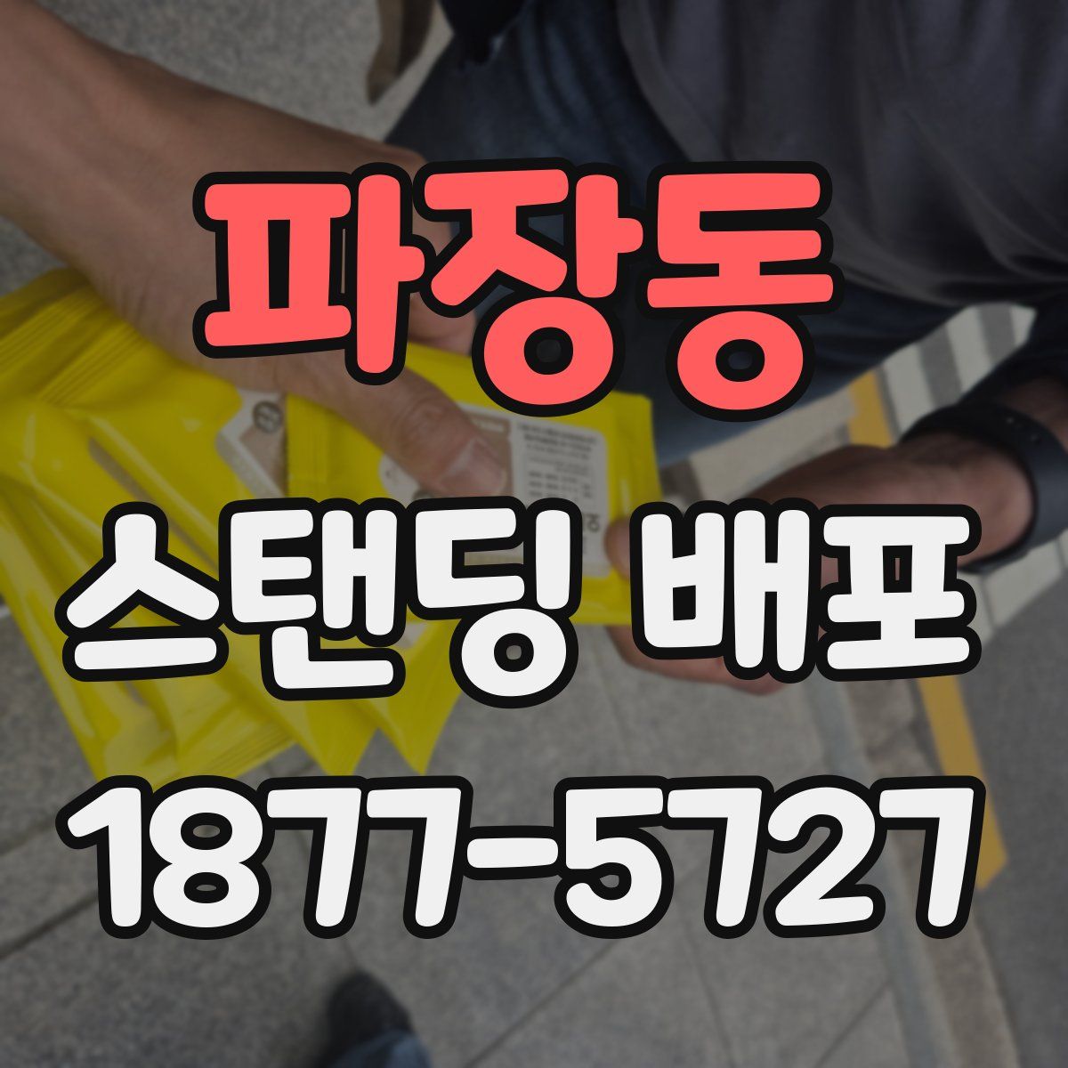 파장동 스탠딩 배포