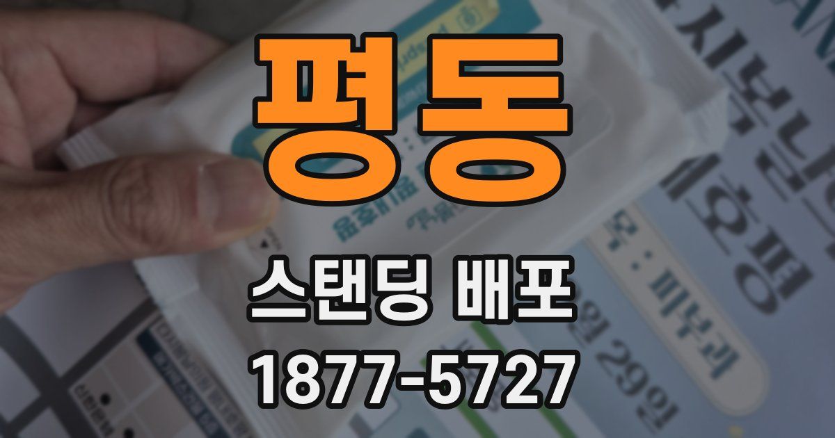 평동 스탠딩 배포