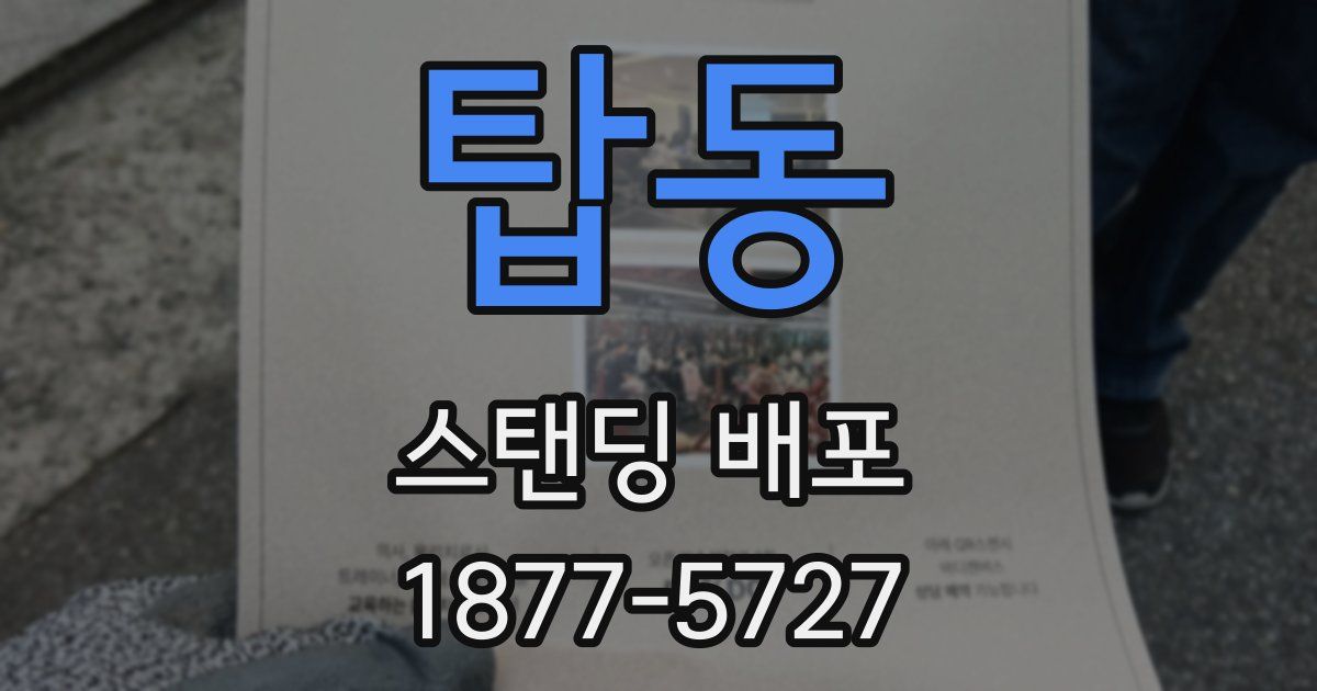 탑동 스탠딩 배포