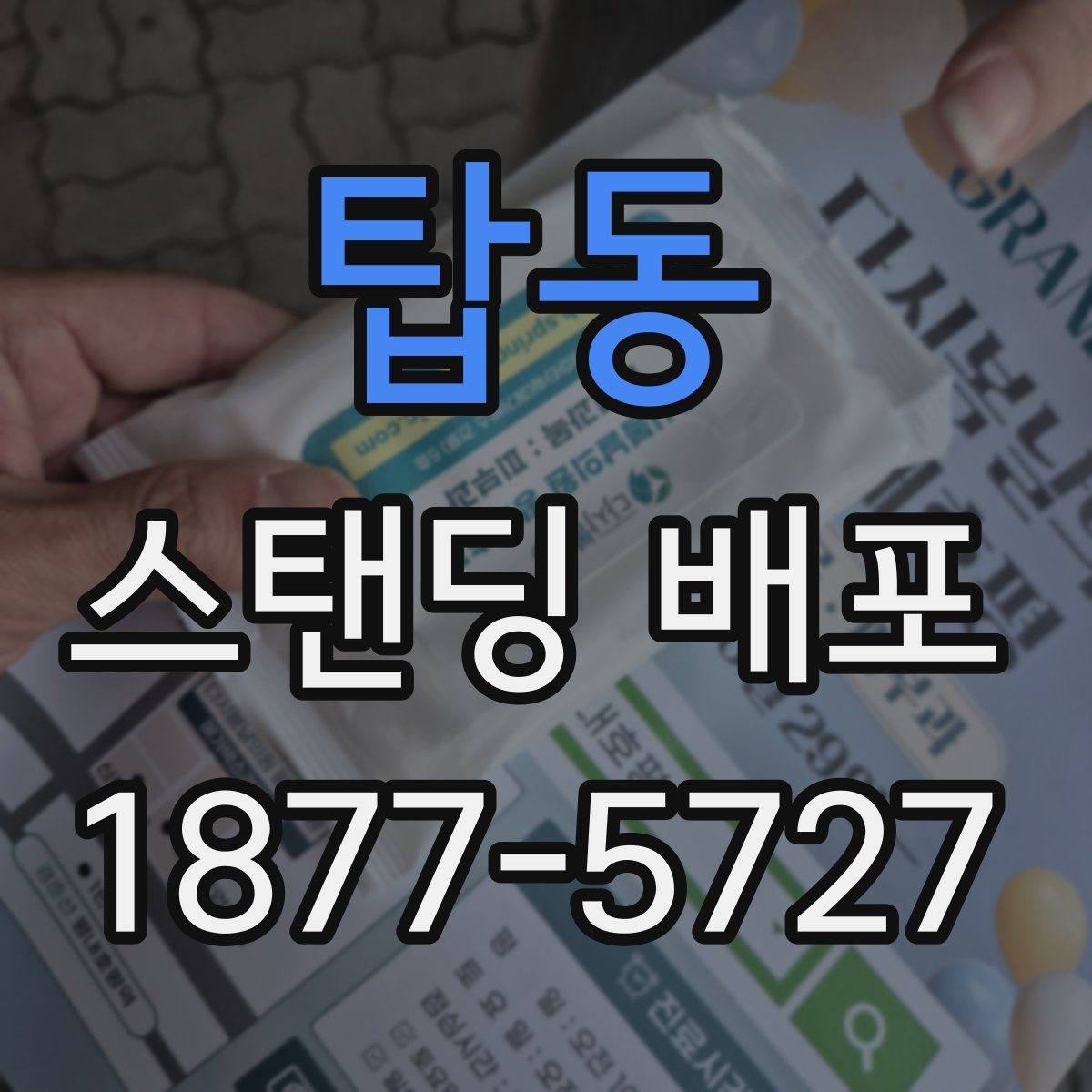탑동 스탠딩 배포