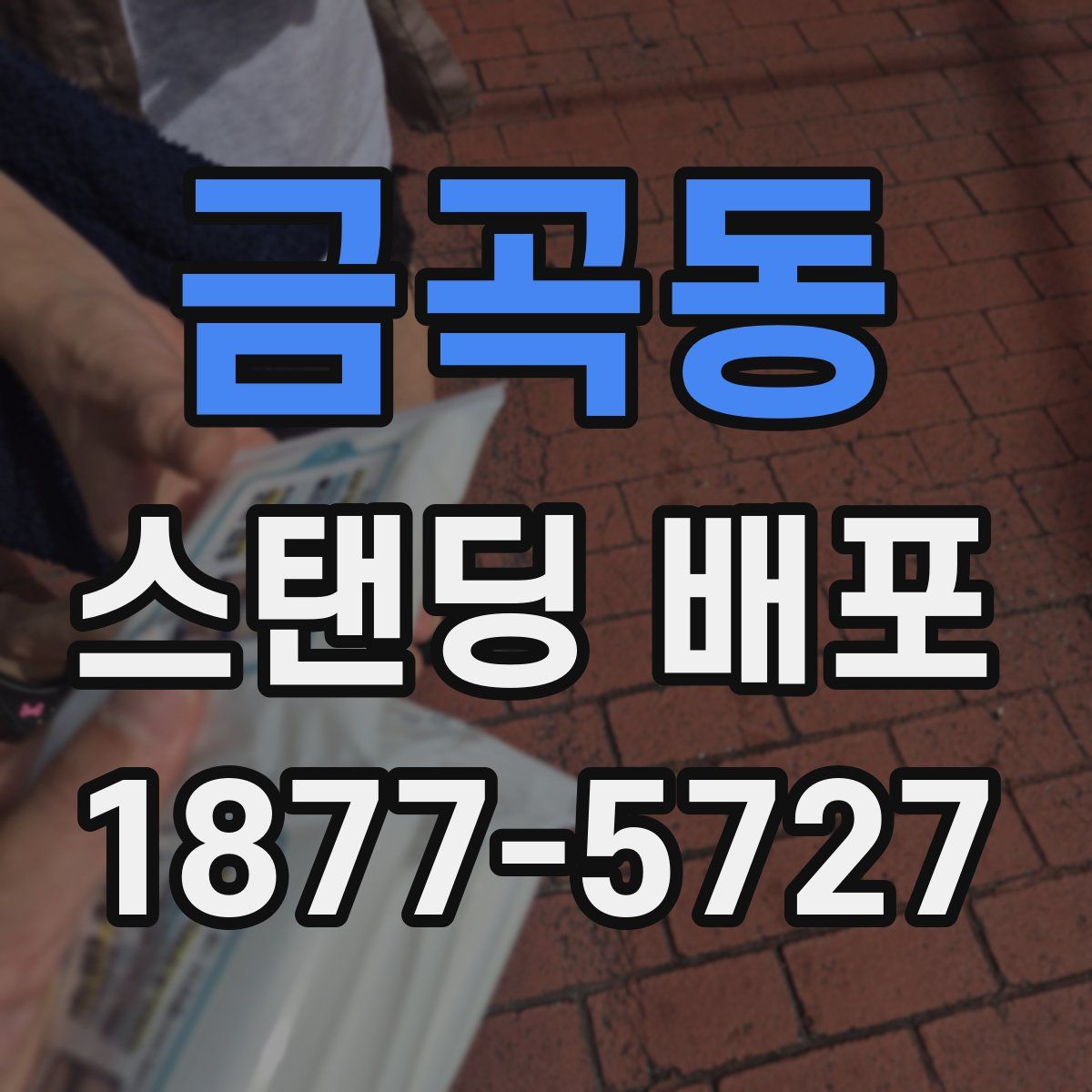 금곡동 스탠딩 배포