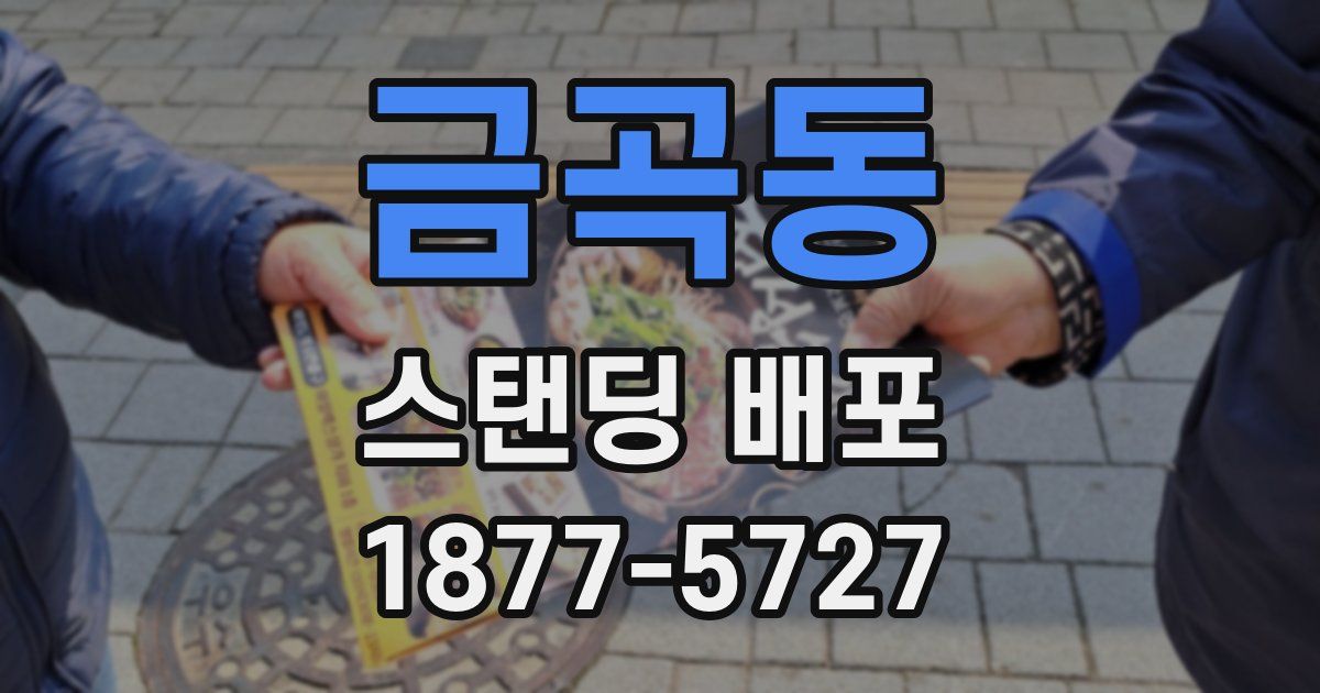 금곡동 스탠딩 배포