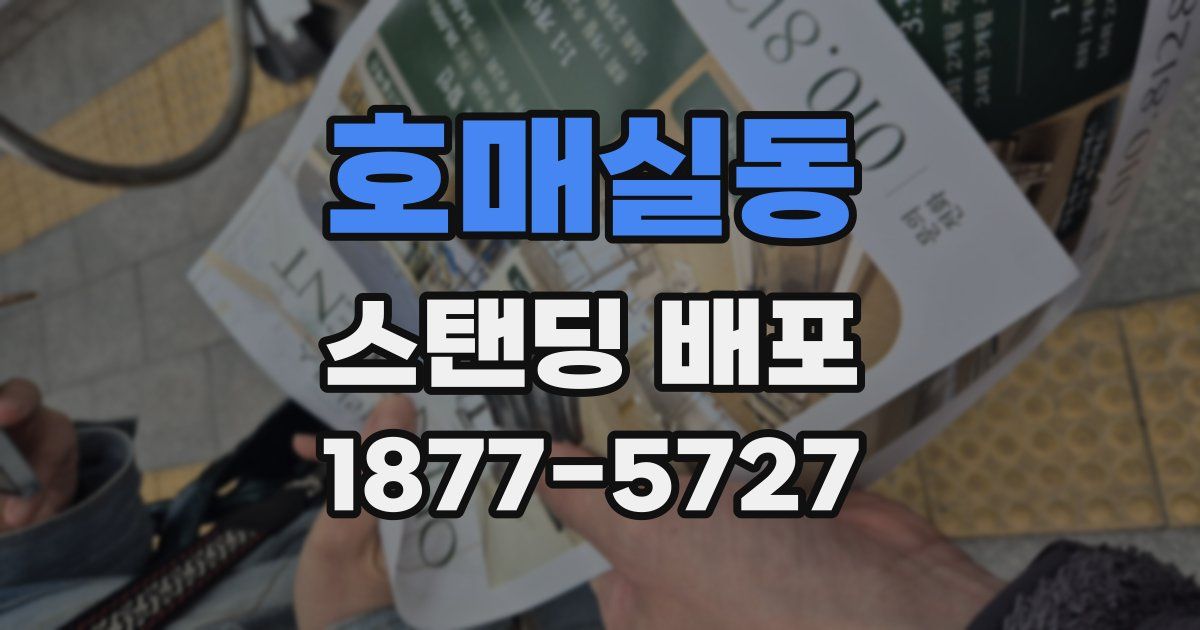 호매실동 스탠딩 배포