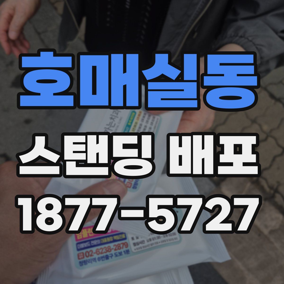 호매실동 스탠딩 배포
