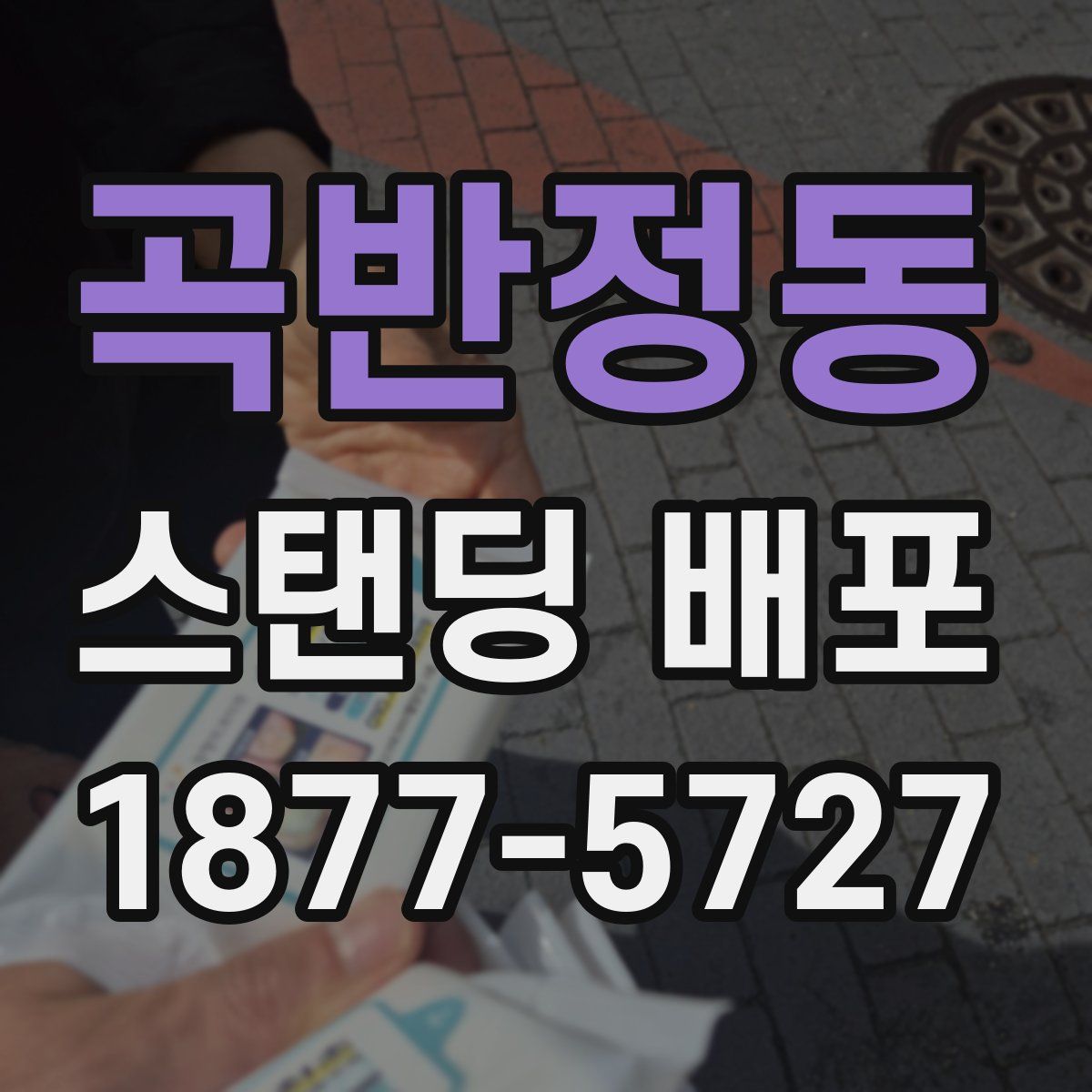 곡반정동 스탠딩 배포