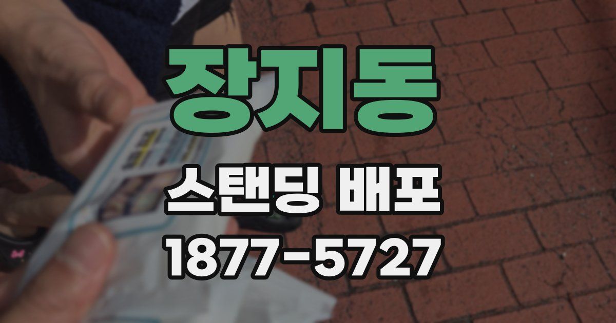 장지동 스탠딩 배포