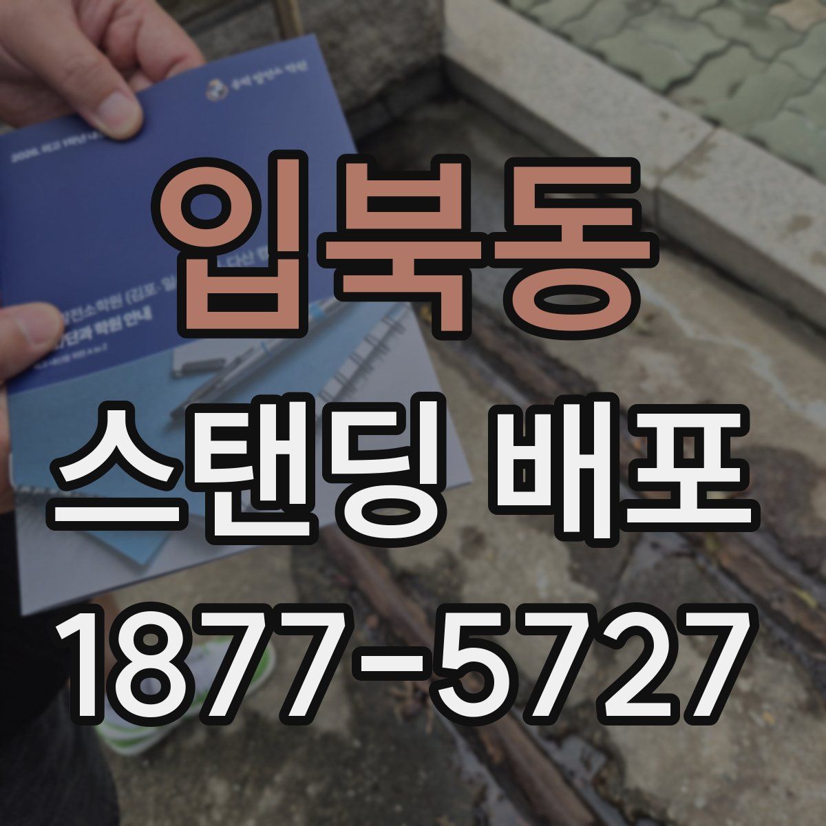 입북동 스탠딩 배포