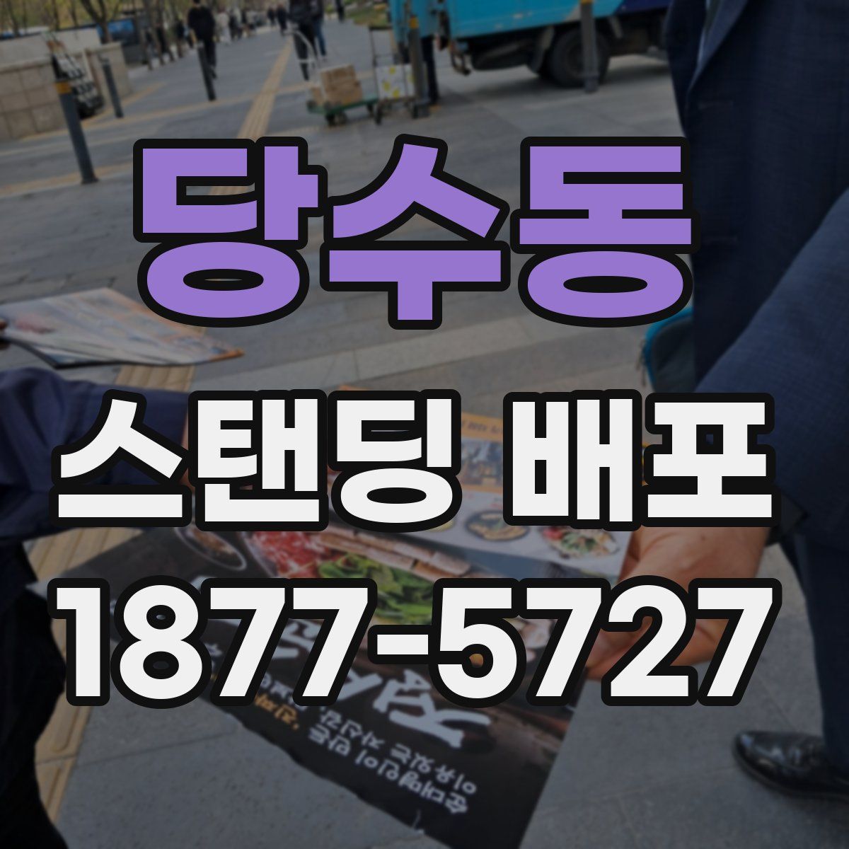 당수동 스탠딩 배포