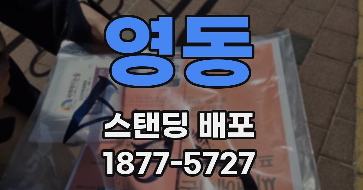 영동 스탠딩 배포