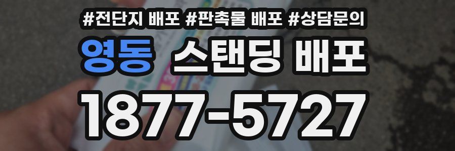 영동 스탠딩 배포