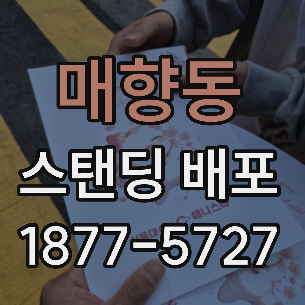 매향동 스탠딩 배포
