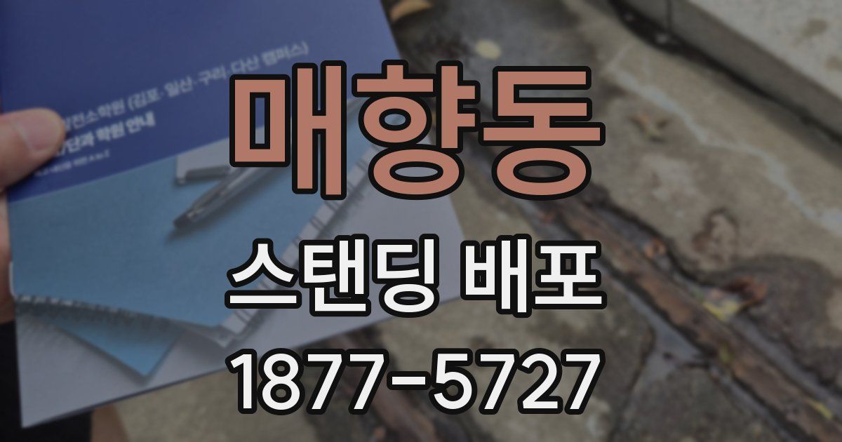 매향동 스탠딩 배포