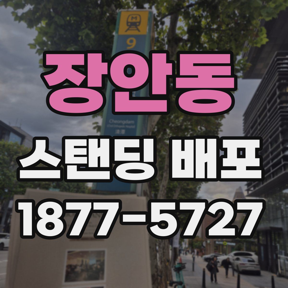 장안동 스탠딩 배포