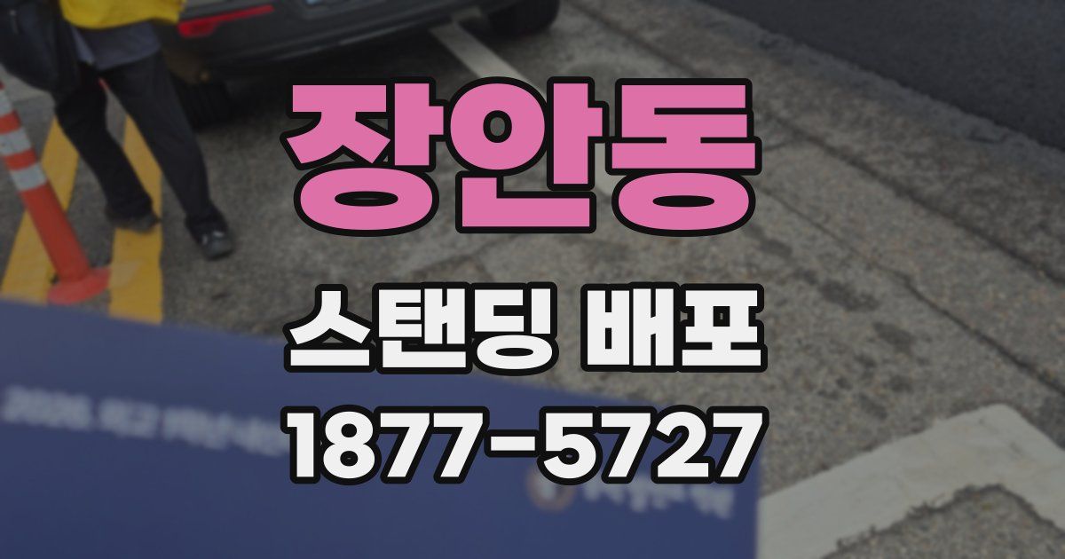 장안동 스탠딩 배포