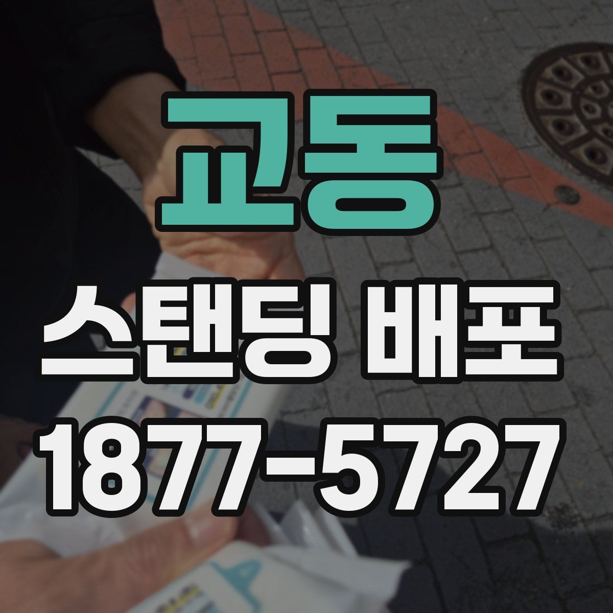 교동 스탠딩 배포