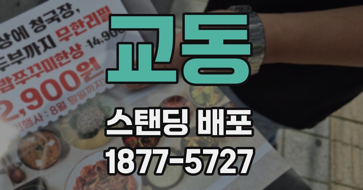 교동 스탠딩 배포