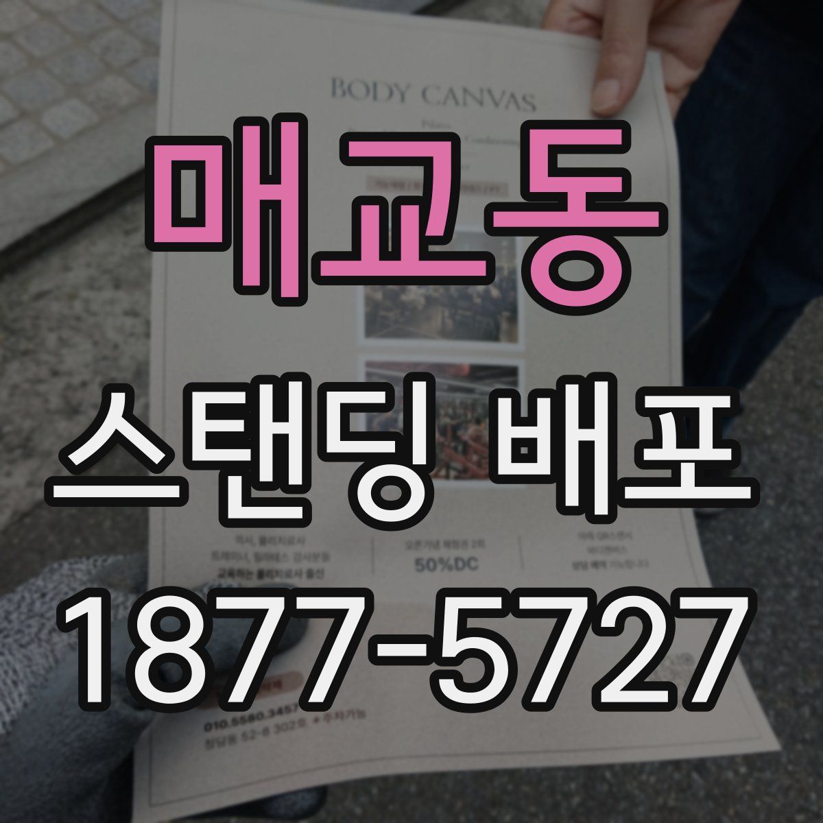 매교동 스탠딩 배포