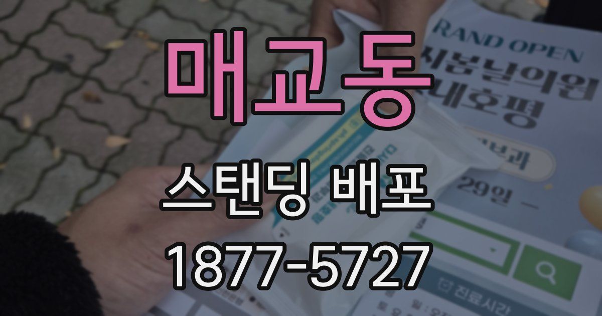 매교동 스탠딩 배포