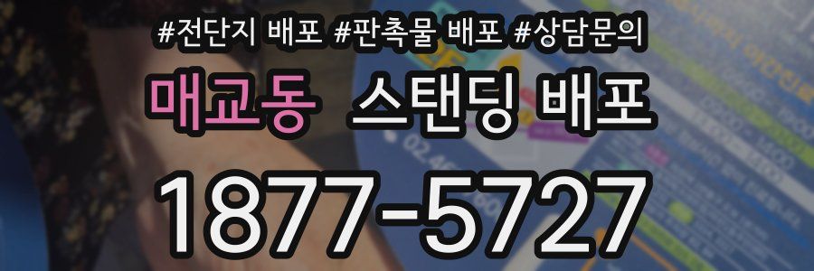 매교동 스탠딩 배포