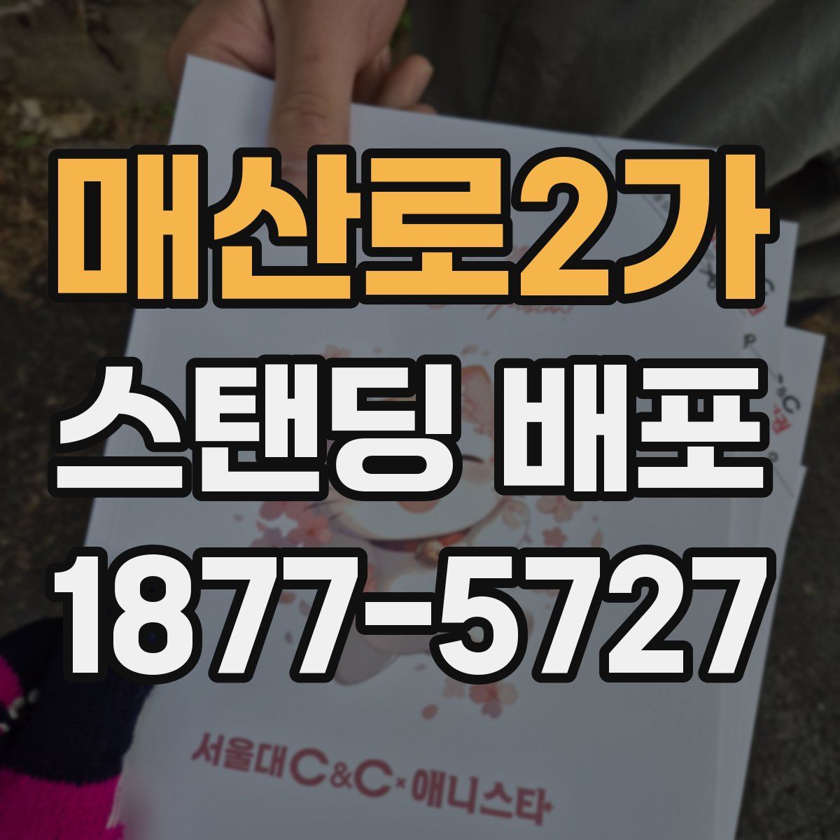매산로2가 스탠딩 배포