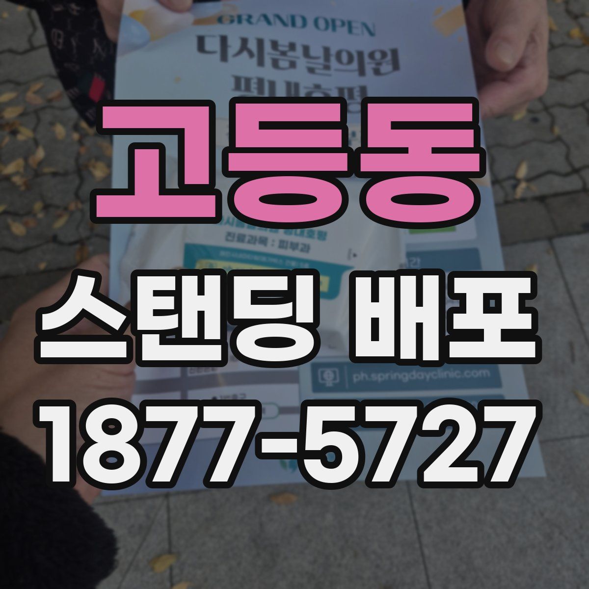 고등동 스탠딩 배포