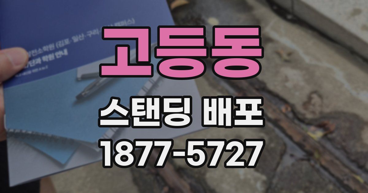 고등동 스탠딩 배포