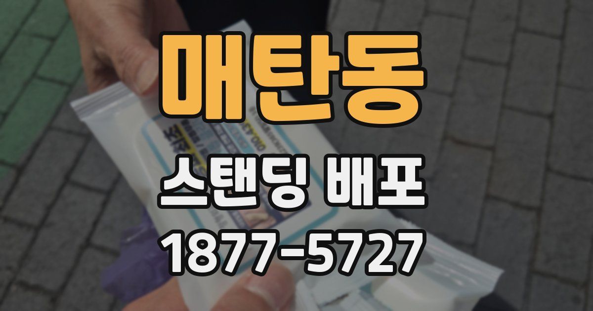 매탄동 스탠딩 배포