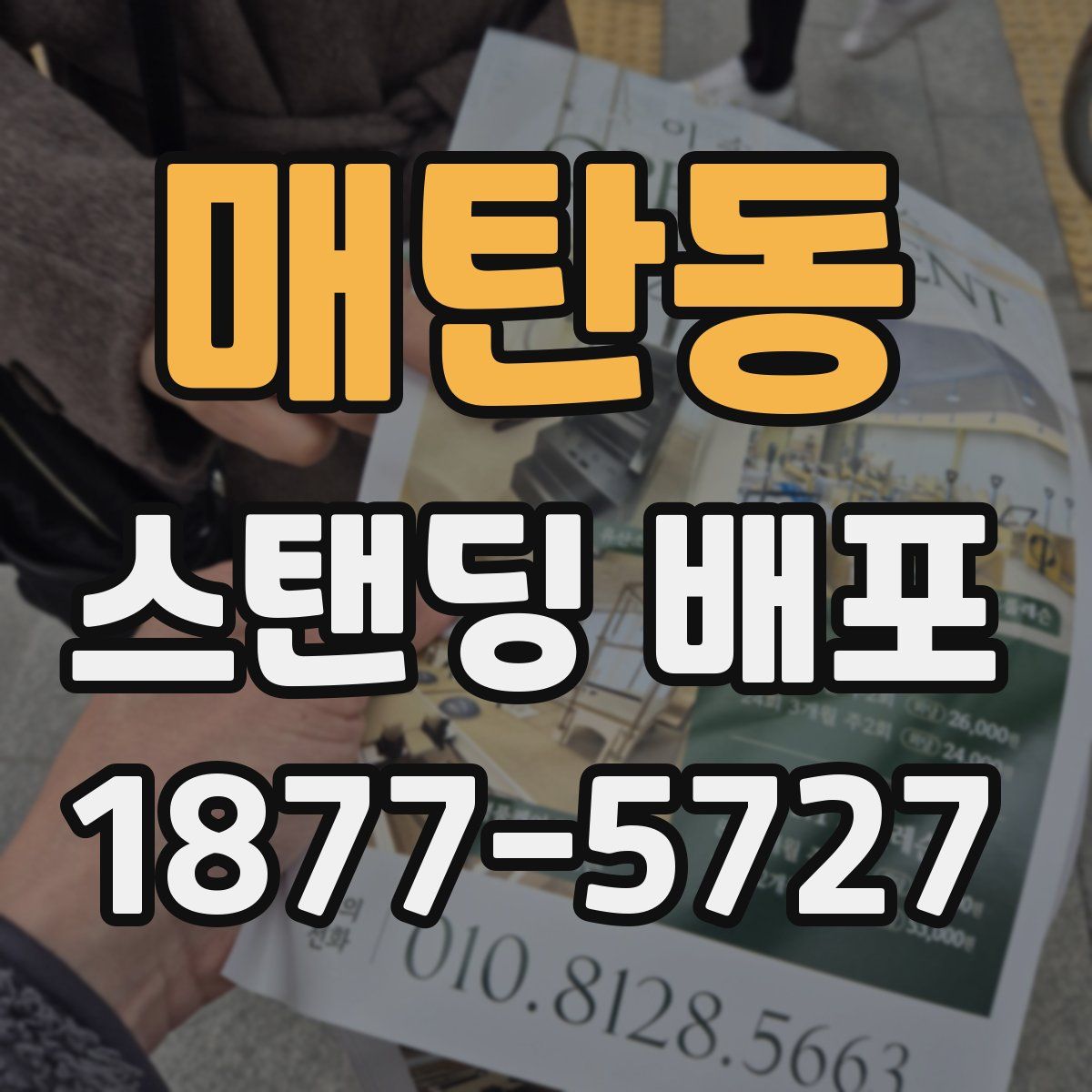 매탄동 스탠딩 배포