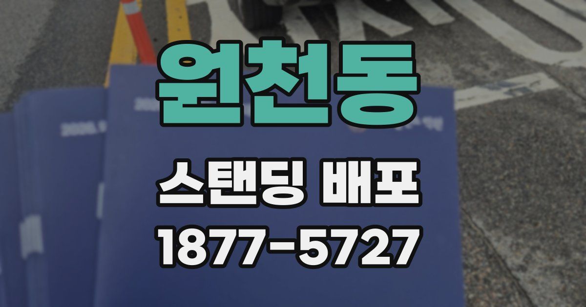 원천동 스탠딩 배포