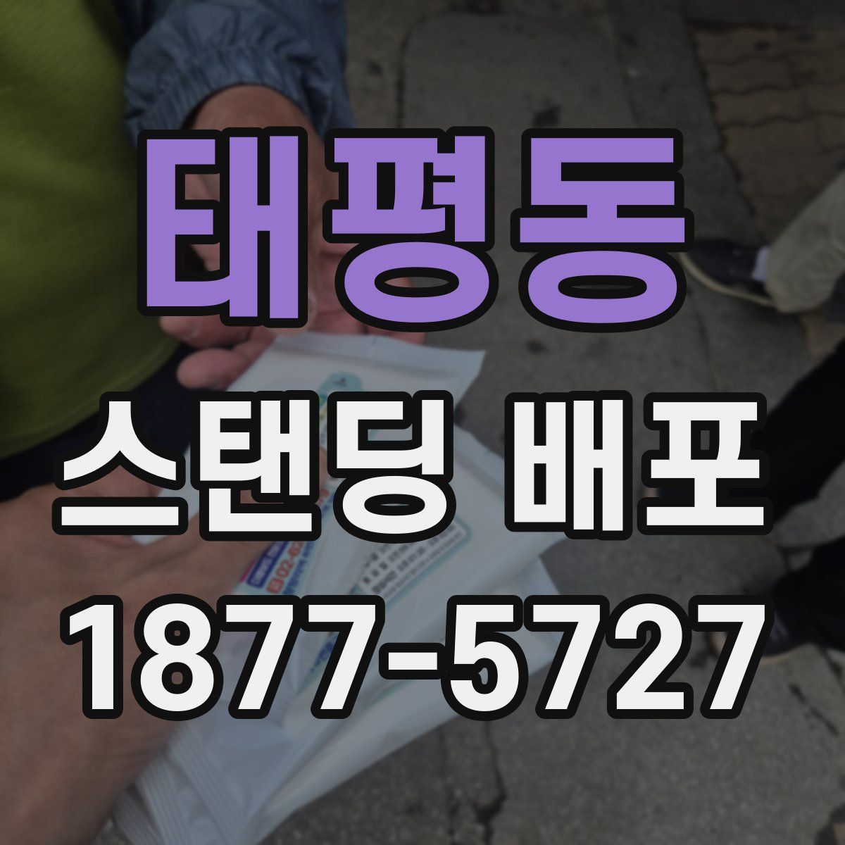 태평동 스탠딩 배포