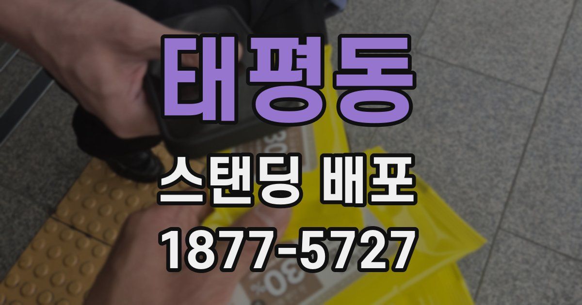 태평동 스탠딩 배포